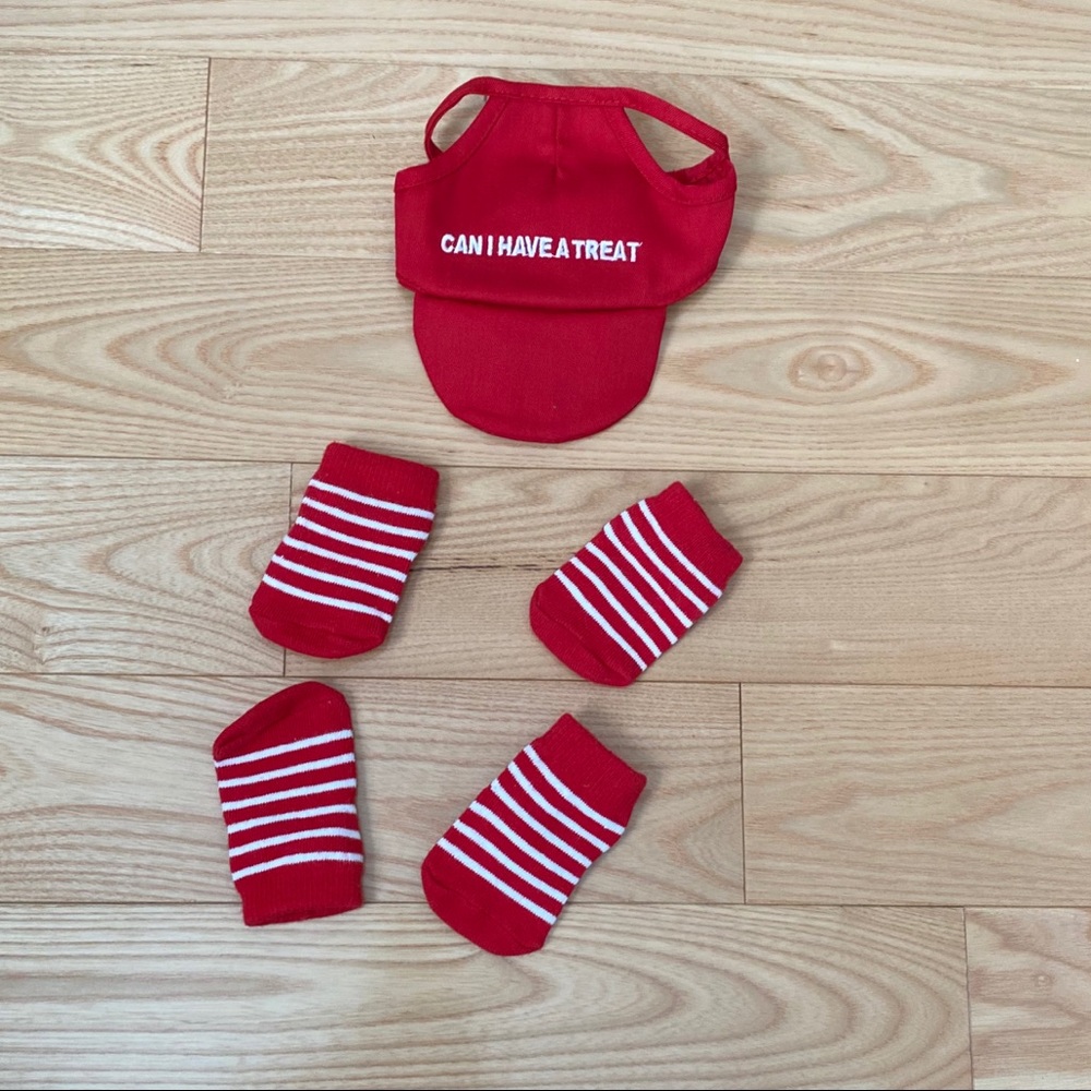 Dog hat and socks